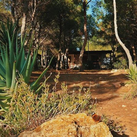 Villa Buonumore Порто Пино Екстериор снимка