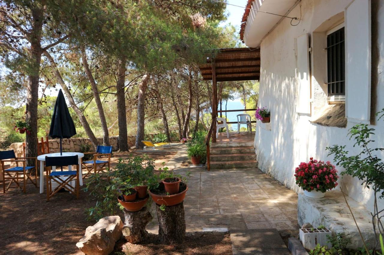 Villa Buonumore Порто Пино Екстериор снимка