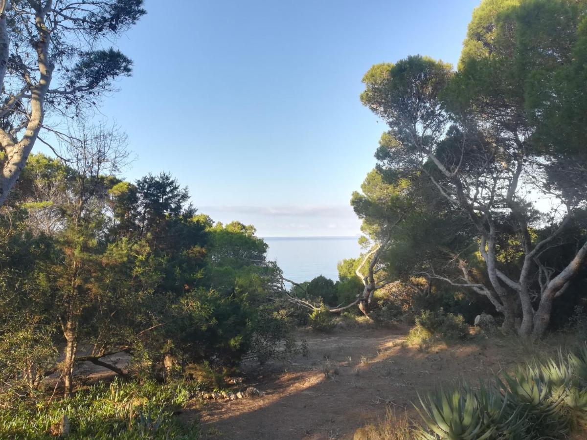 Villa Buonumore Порто Пино Екстериор снимка